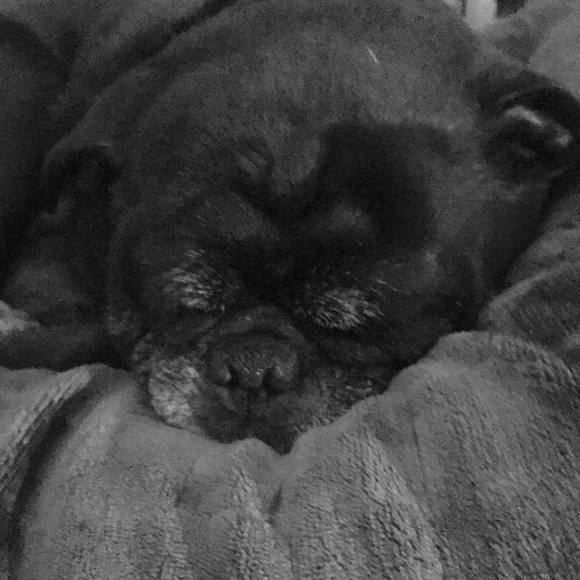 Meet your Posher, Leanne - Picture 1 of 1